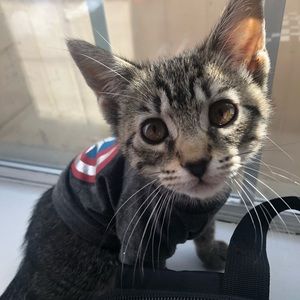 Meet your Posher, Leo_